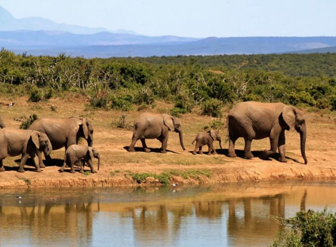 Best Travel Company in India