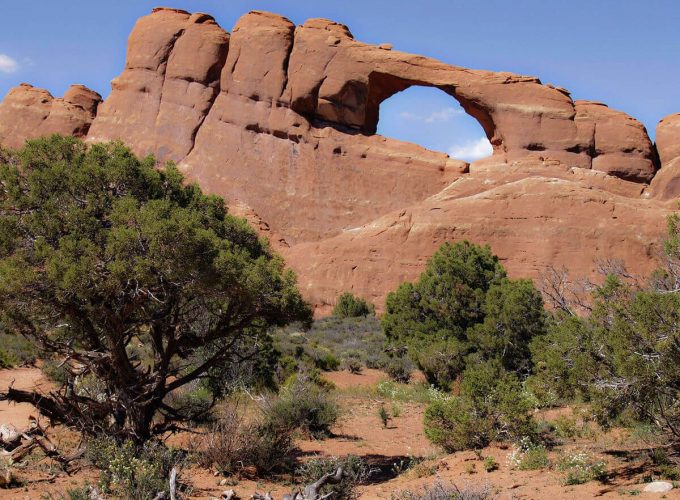 Best Travel Company in India