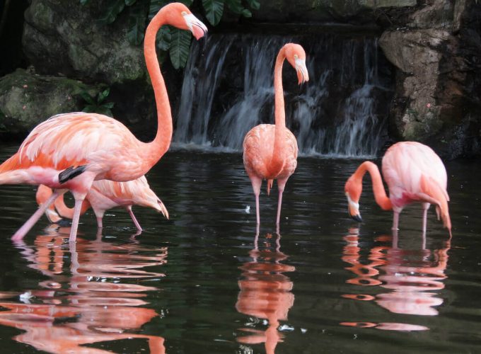 Best Travel Company in India