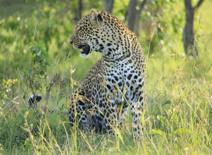 Best Travel Company in India