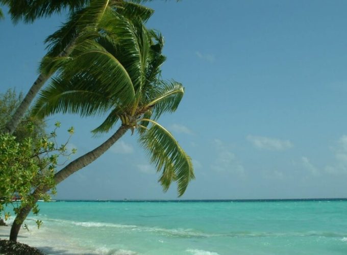 Best Travel Company in India