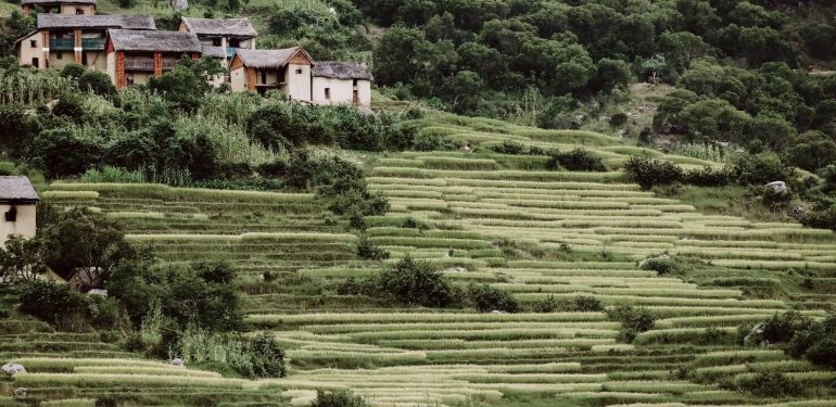 Madagaskar Tour Packages