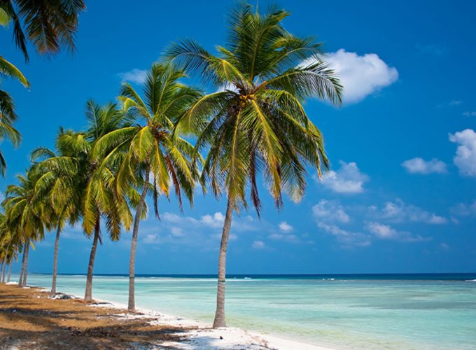 Best Travel Company in India