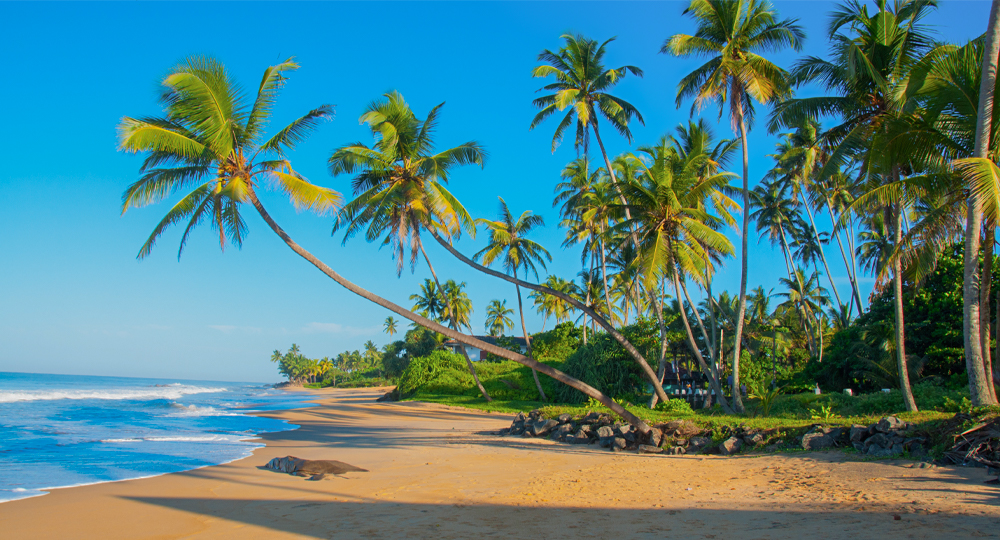 sri lanka holiday package from India